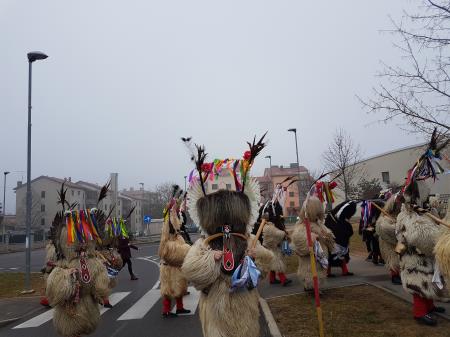 ED JEŽEVKA PTUJ - PUST 2023 (24)